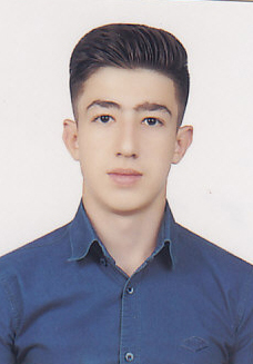 تصویر پویان مولوی
